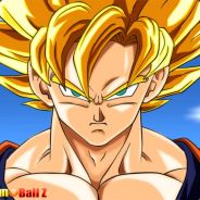 GOKUPOA