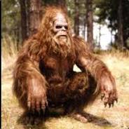 IrateSquatch