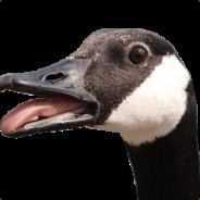 Goose