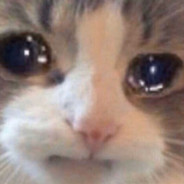 ole