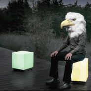 Eagle For a Head