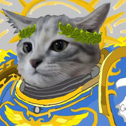 只有猫知道