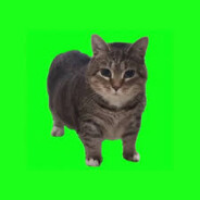 w44