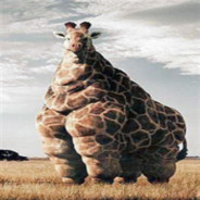 The_Fat_Giraffe