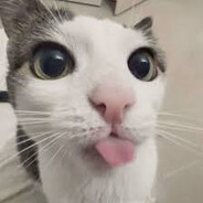 cathh
