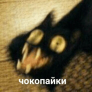 ็