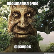 iq табуретки?