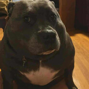 tuff pies [no mersi]