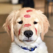 leodagoodboy