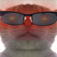 StoneyCat