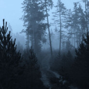 мотылёк