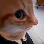 Samson