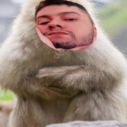 MasViqueico