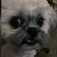 LULADRÃO