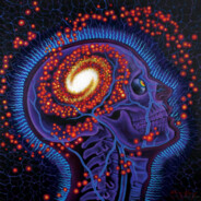 Cosmic Consciousness