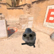 BelanoSilni