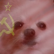 ComandoSvr82