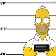 HOMER SIMPSON