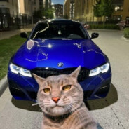 HXNDVMVINER