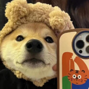 晖晖
