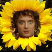 Frodosynthesis