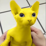 Buttercat