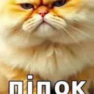 яйца