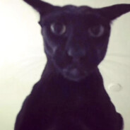 RICKY
