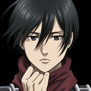 YB´.Mikasa