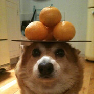 macho