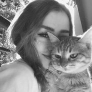 steâsy
