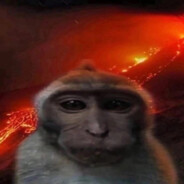 kotez