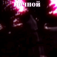 НОЧНОЙ