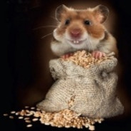Stuart