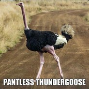 Pantless Thundergoose