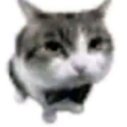 masteryhuk