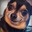 Group Avatar