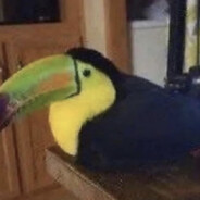 tacon