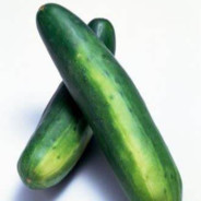 PEPINO GROSSO