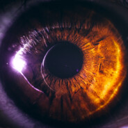 oeil pour oeil