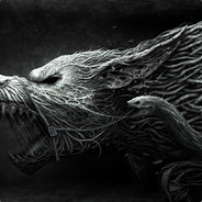 BlackWolf! 🐺💀