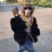 Metriņš
