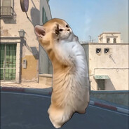Loshi.jpg