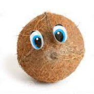 coconout