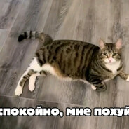 Golod