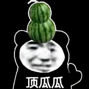 顶瓜瓜