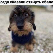 богдан
