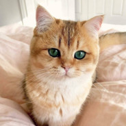 ♥