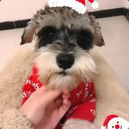 Little_xgg