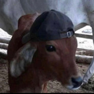 miniboi